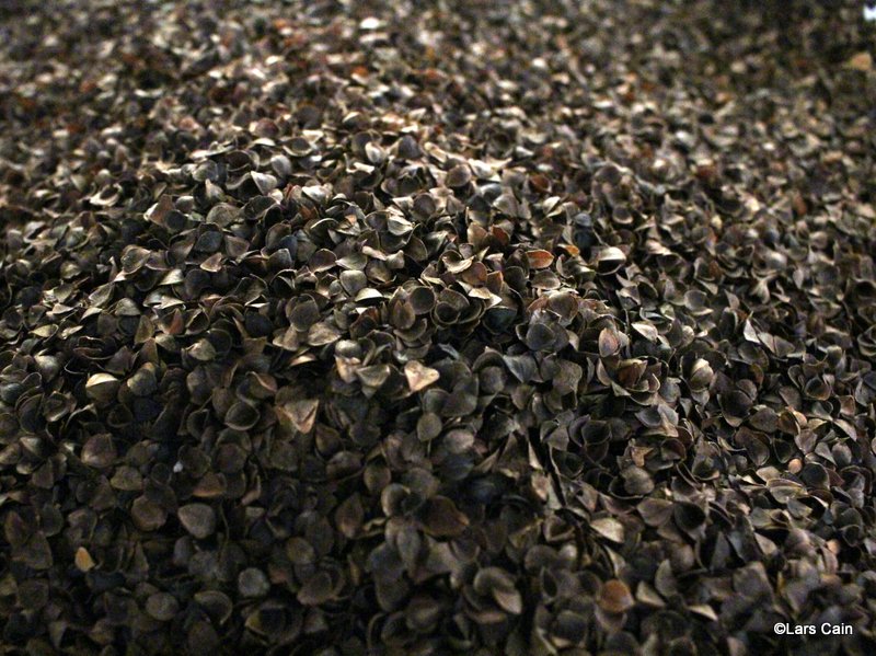 Meditation Cushions Choosing the Right Zafu Still Sitting