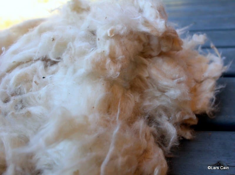 Meditation Cushions Choosing the Right Zafu Still Sitting