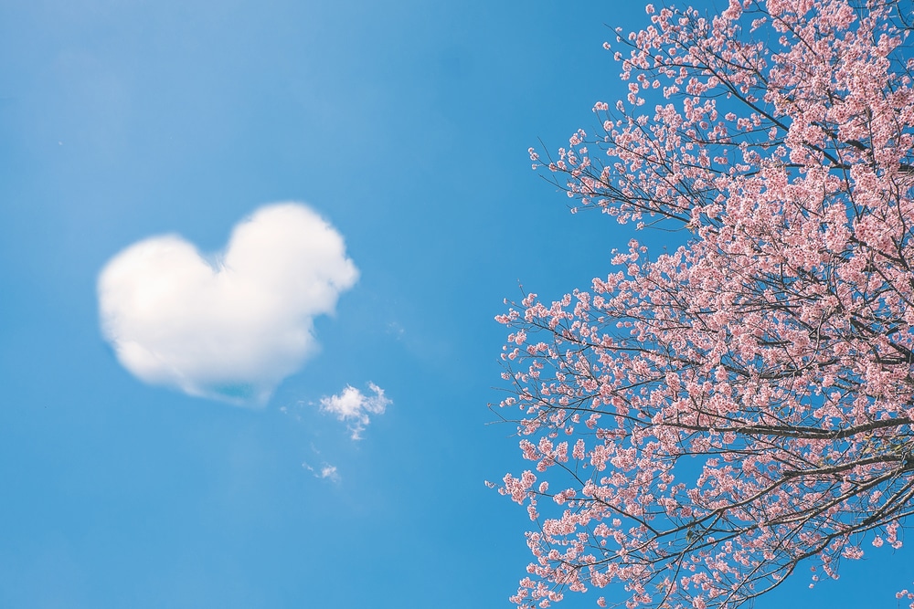 cloud in heart shape